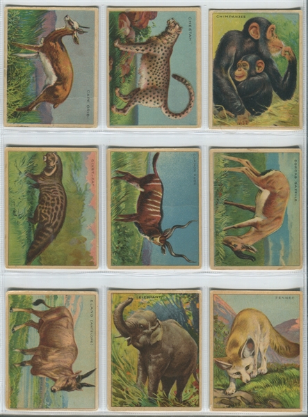 FC1 Harry Horn Nu-Jell (Canada) Animal Cards - 77 Different