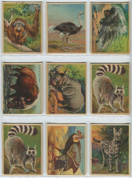FC1 Harry Horn Nu-Jell (Canada) Animal Cards - 77 Different
