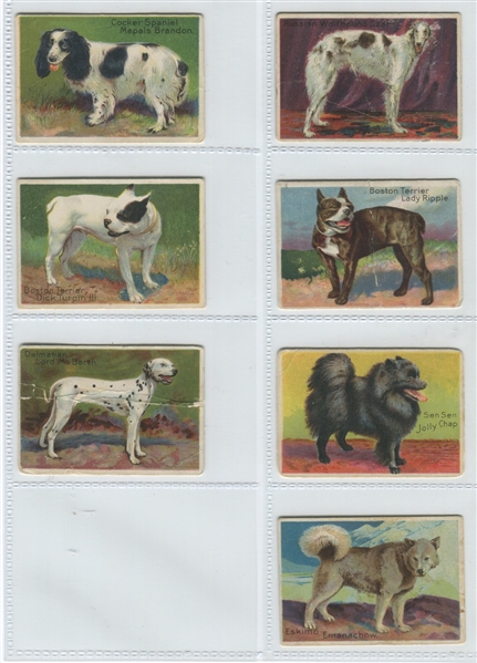 T96 Prize Dog Series Near Set (7/10) Cards with all (3) Back Types