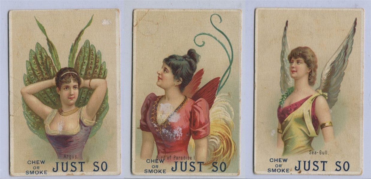 N312E Just So Tobacco Birds of Plumage Lot of (3) Cards