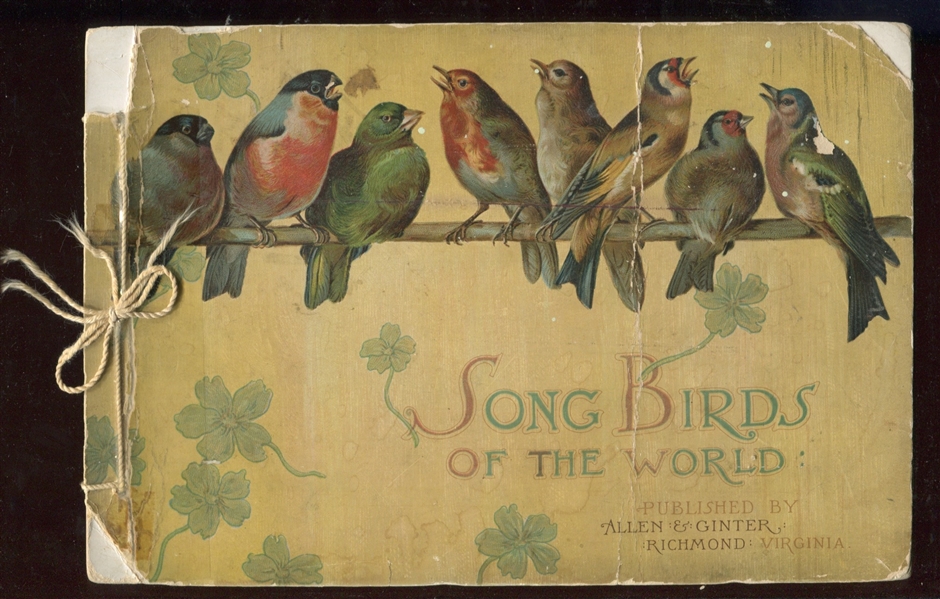 A13 Allen and Ginter Song Birds of the World