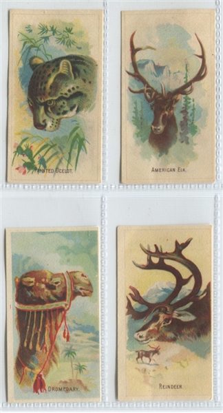 D8 Weber Baking Company Animal Pictures Lot of (4) Cards