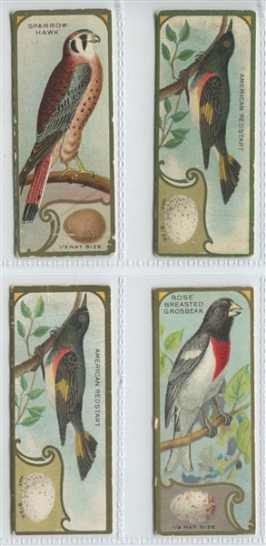 V120 Canadian Chewing Gum/E225 Chiclets Bird Studies Mixed Lot of (14) Cards