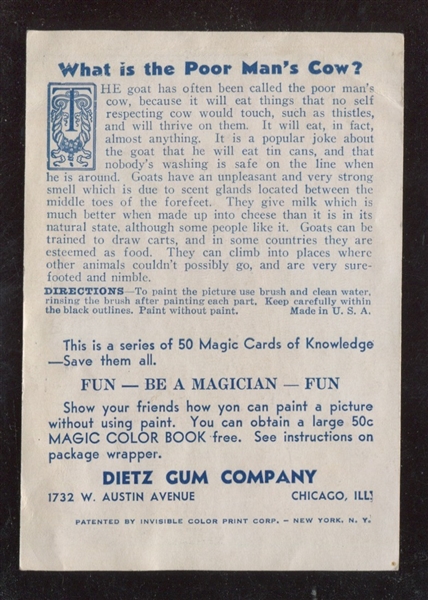 R212 Dietz Gum Magic Cards of Knowledge Pair of Crds