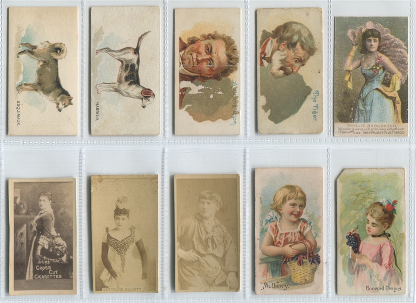 Mixed Lot of (11) N Tobacco Card Issues from Duke, Allen & Ginter and Others
