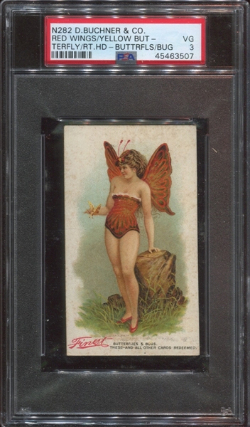 N282 D. Buchner & Company Butterflies and Bugs - Red Wings/Yellow Butterfly Type Card 