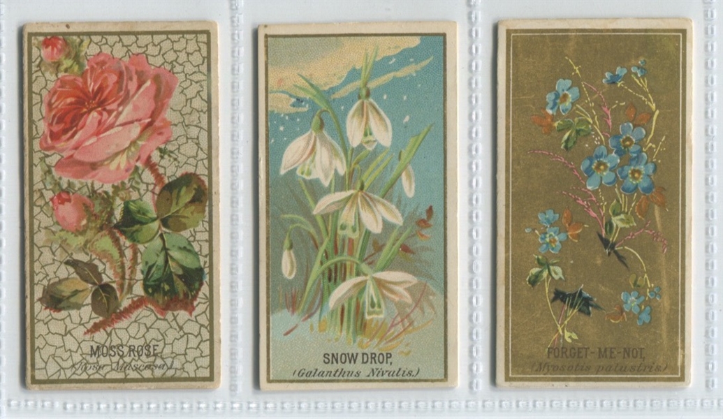 N164 Goodwin Tobacco Flowers Lot of (3) Cards