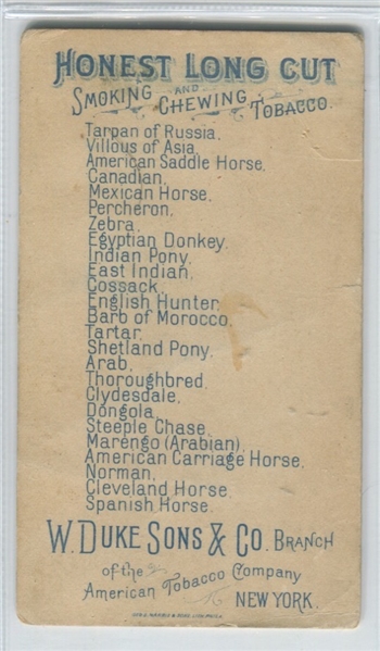 N101 Duke Honest Long Cut Horses Lot of (7) Cards