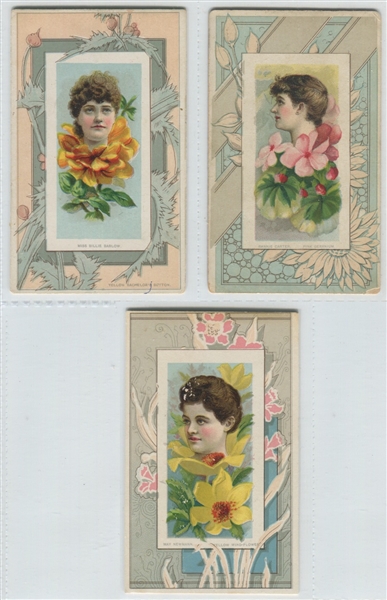 N106 Duke Tobacco Honest Long Cut Fairest Flowers Lot of (11) Cards