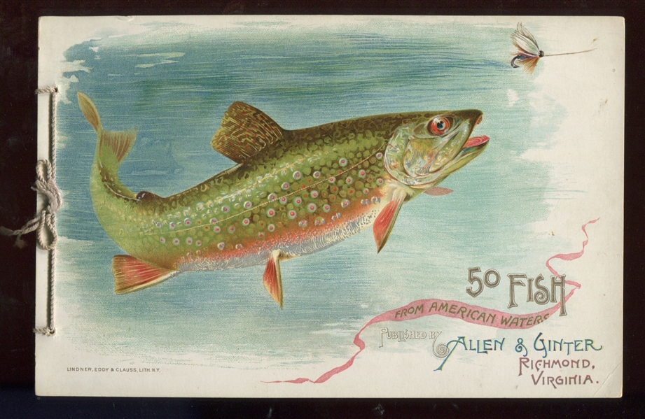 A7 Allen & Ginter's Fish From American Waters
