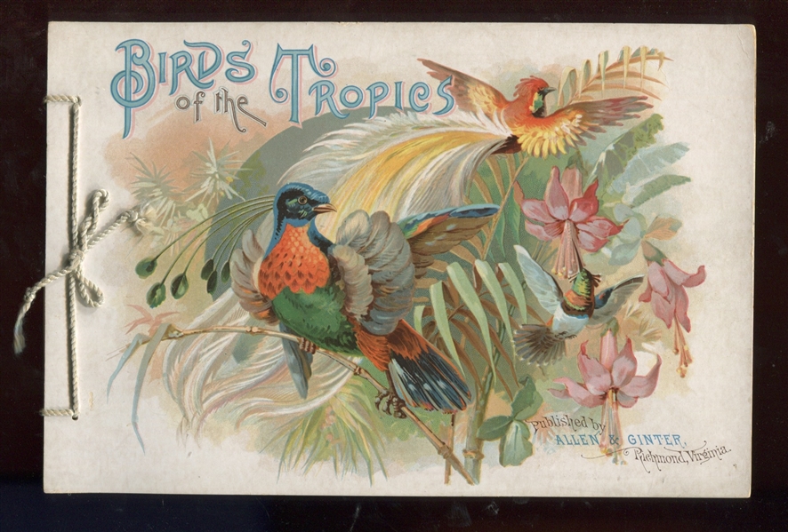 A4 Allen & Ginter's Birds of the Tropics Album