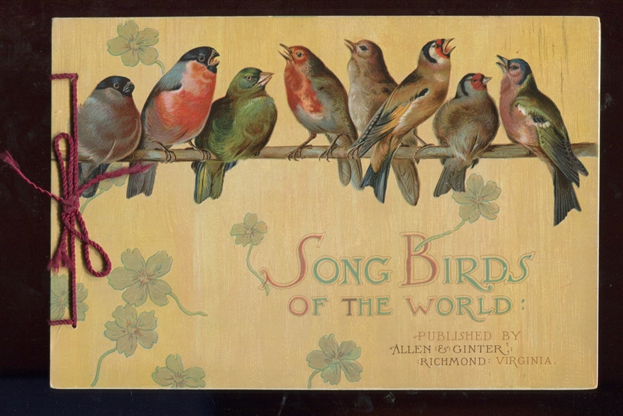 A13 Allen & Ginter's Song Birds of the World Album