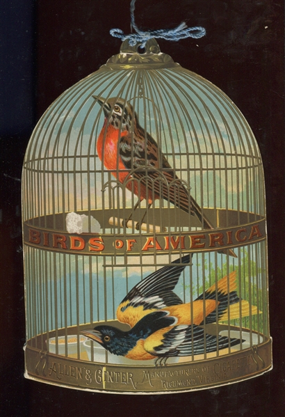 A3 Allen & Ginter's Birds of America Album