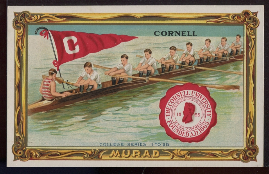T6 Murad Cabinet - Cornell - Rowing