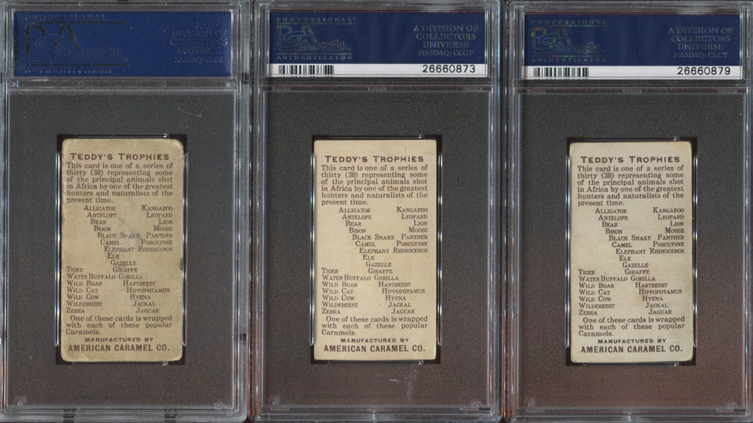 E27 American Caramel Teddy's Trophies PSA-Graded Lot of (8) Cards