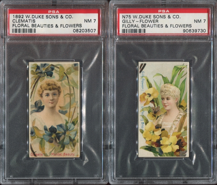 N75 Duke Cigarettes Floral Beauties & Flowers Lot of (2) PSA7-Graded Cards