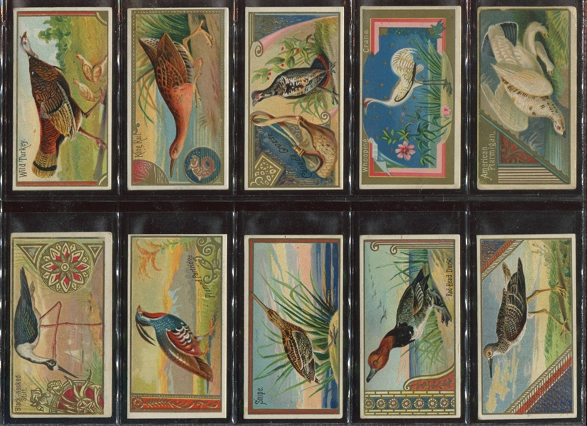 N13 Allen & Ginter Game Birds Complete Set of (50) Cards