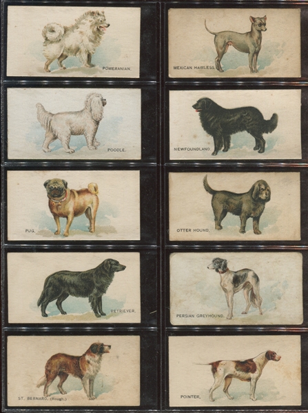 N163 Goodwin & Company Dogs of the World Complete Set of (50) Cards