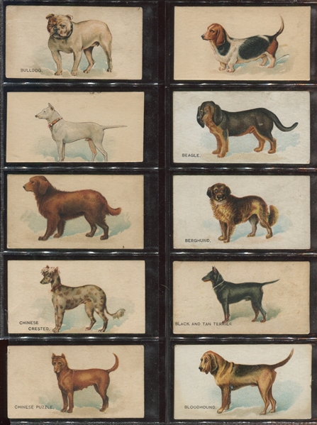 N163 Goodwin & Company Dogs of the World Complete Set of (50) Cards