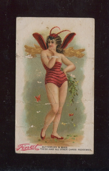 N282 D. Buchner Finest Tobacco Butterflies and Bugs Type Card
