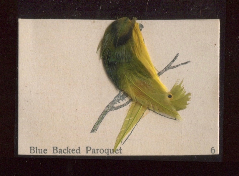 T90 La Marquise/ATC Nature Cards - #6 Blue Backed Paroquet Bird With Envelope