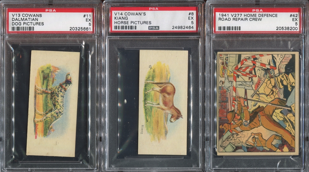 Mixed Canadian Type Card Lot of (6) PSA5-Graded Cards
