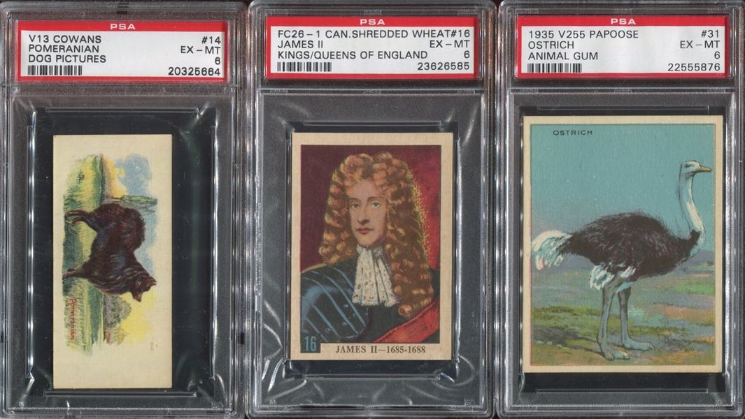 Mixed Canadian Type Card Lot of (5) PSA6-Graded Cards