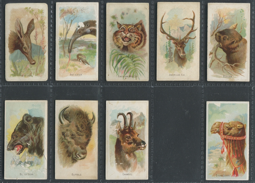 N25 Allen & Ginter Wild Animals of the World Near Set (48/50) Cards