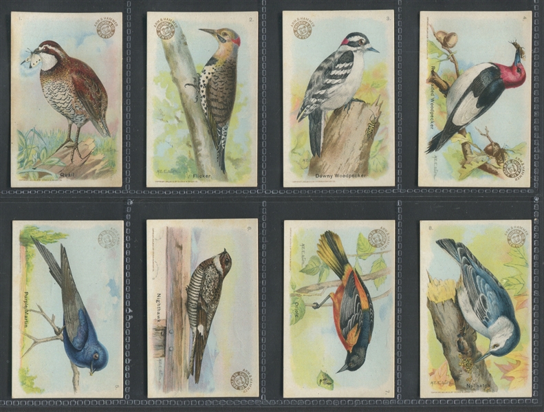 J4 Church & Dwight Arm & Hammer Baking Soda - New Series of Birds Complete set of (30) Cards