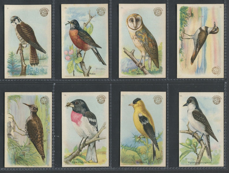 J4 Church & Dwight Arm & Hammer Baking Soda - New Series of Birds Complete set of (30) Cards