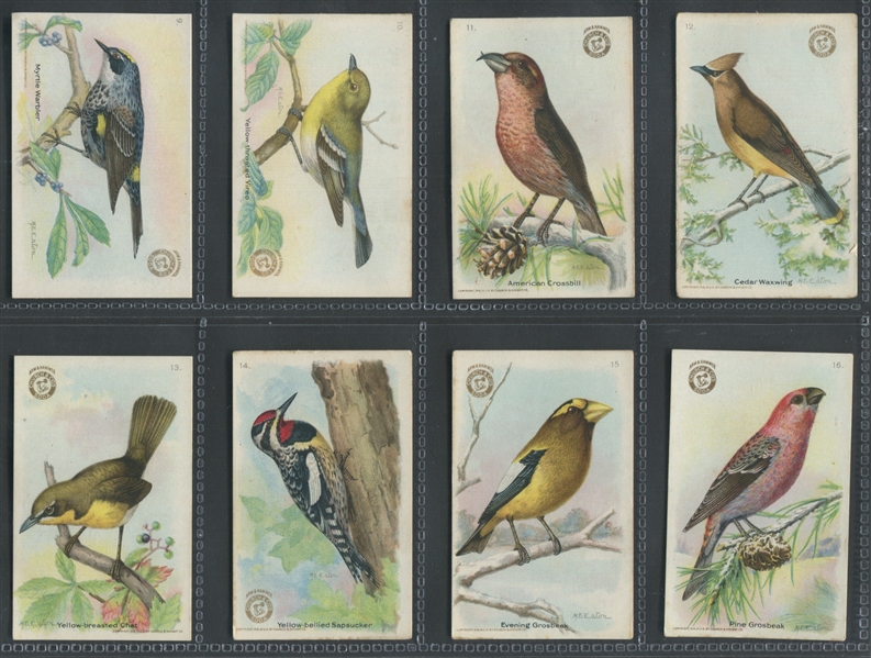 J9-5 Church & Dwight Arm & Hammer Useful Birds of America (Second Series) Complete Set of (30) Cards
