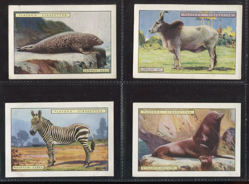 1924 John Player & Sons Natural History (2nd Series) Complete Set of (12) Cards