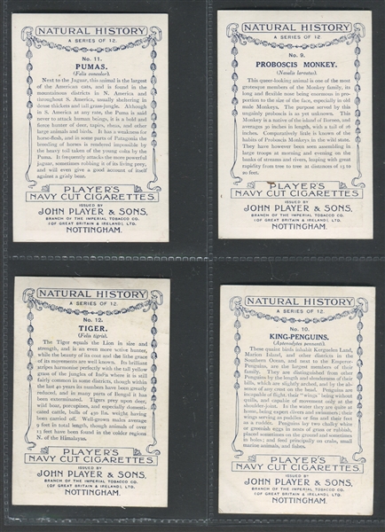 1924 John Player & Sons Natural History Complete Set of (12) Cards