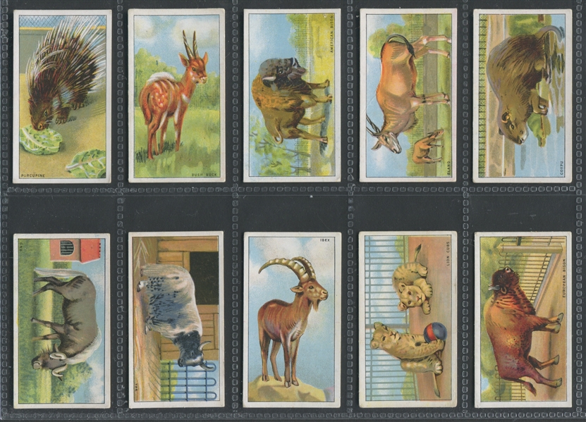 1920's Ardath Animal Cards Complete Set of (50) Cards