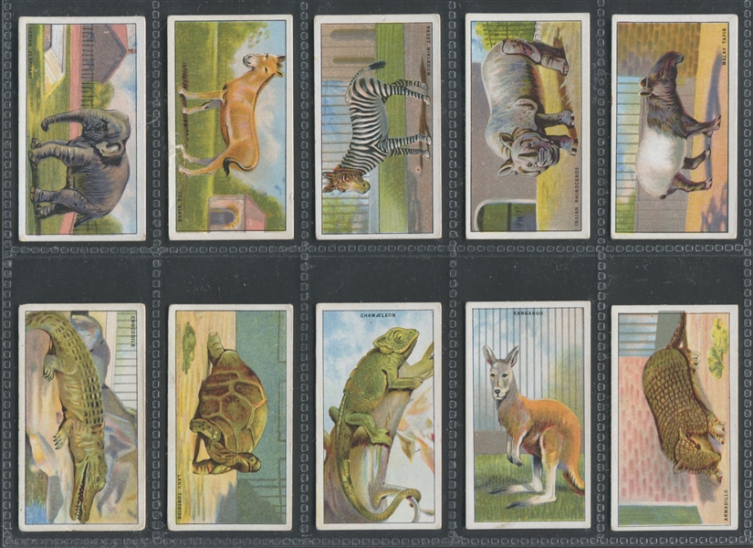 1920's Ardath Animal Cards Complete Set of (50) Cards