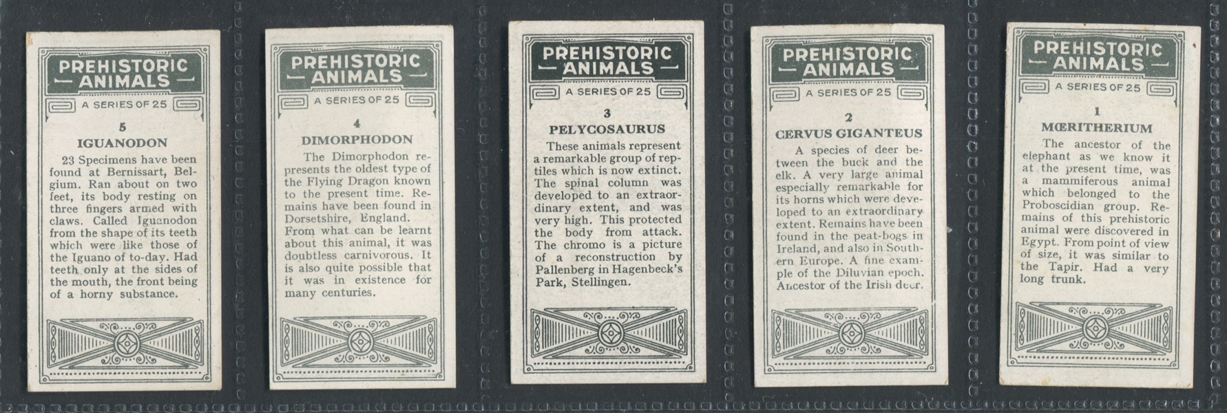 1920's Anonymous Prehistoric Animals Complete Set of (25) Cards