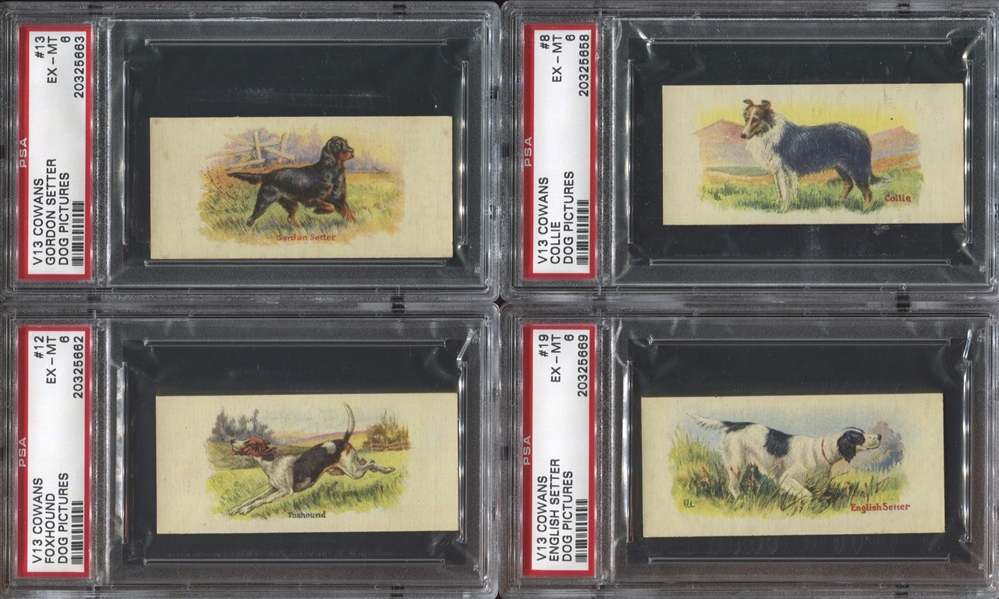 V13 Cowan's Chocolates Dogs Lot of (4) PSA6 EX-MT Cards