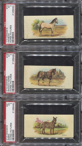 V14 Cowan's Chocolates Horses Lot of (5) PSA5 EX Graded Cards