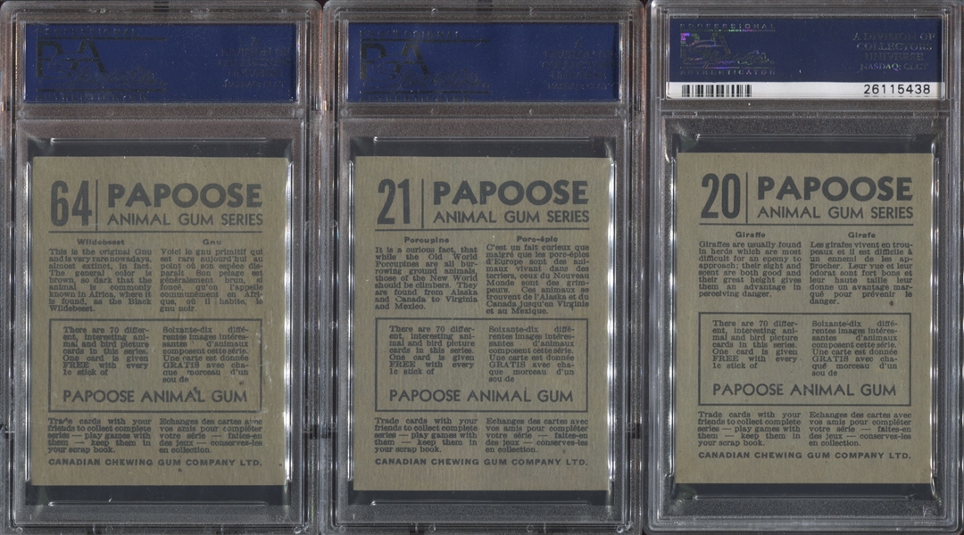 V255 Canadian Chewing Gum Papoose Animals Lot of (6) PSA5 EX Graded Cards