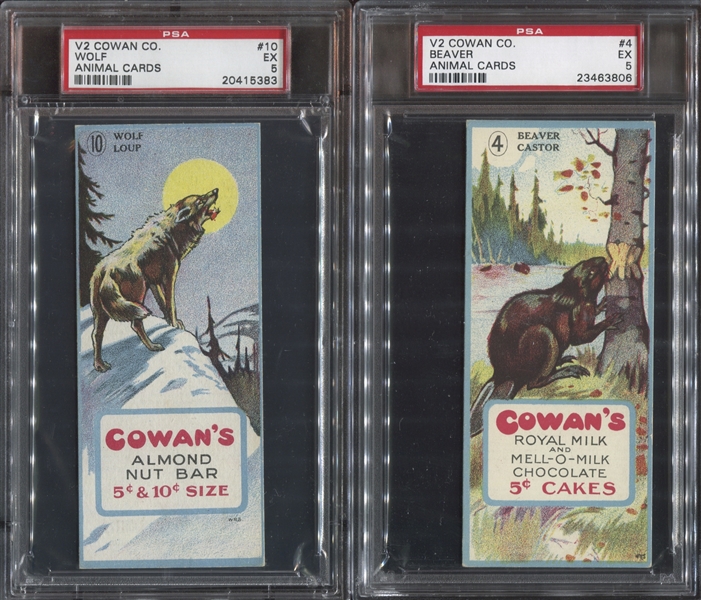 Mixed Lot of (4) Cowan's Chocolate Cards, All Graded PSA5 EX