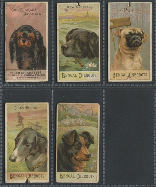 N375 H. Ellis Breeds of Dogs Lot of (5) Cards