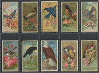 N4 Allen & Ginter Birds of America Lot of (31) Cards
