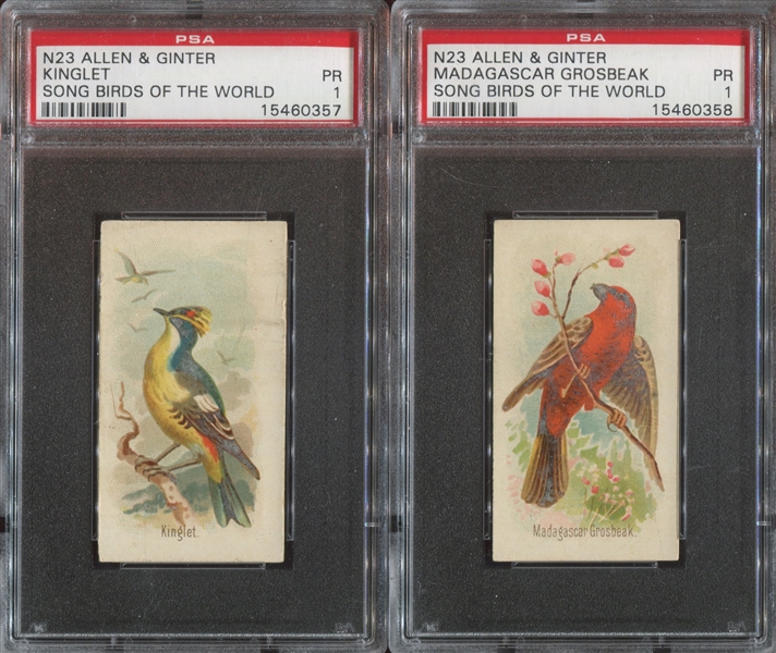 N23 Allen & Ginter Song Birds Lot of (5) PSA-Graded Cards