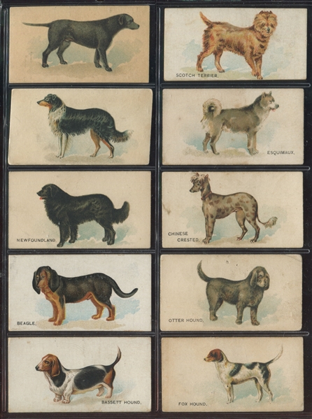 N163 Goodwin Old Judge Dogs Lot of (10) Cards
