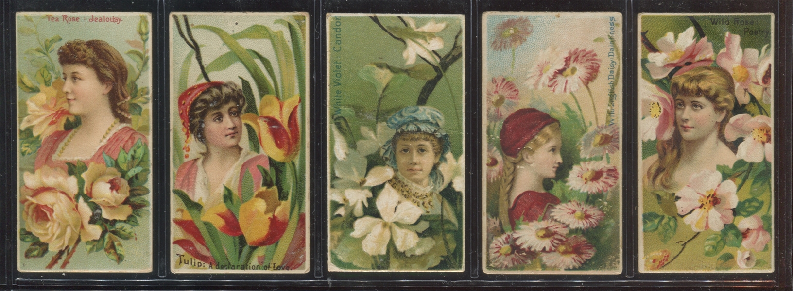 N75 Duke Floral Beauties Near Complete Set (47/50) Cards