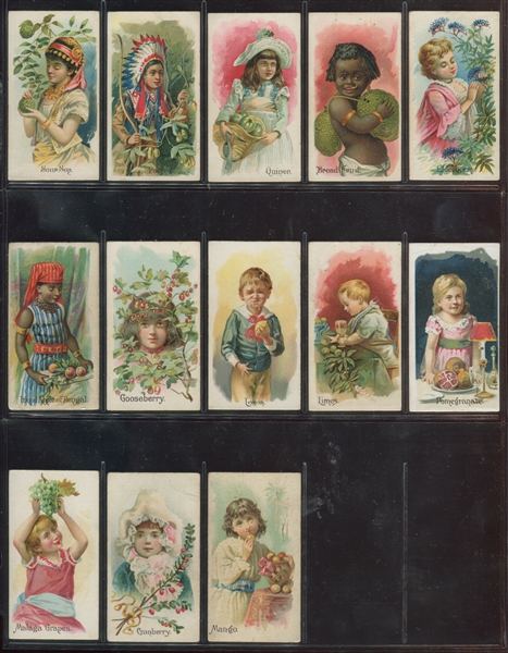 N12 Allen & Ginter Fruits Lot of (13) Cards