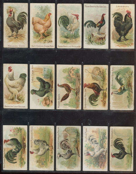 N20 Allen & Ginter Prize and Game Chickens Lot of (15) Cards