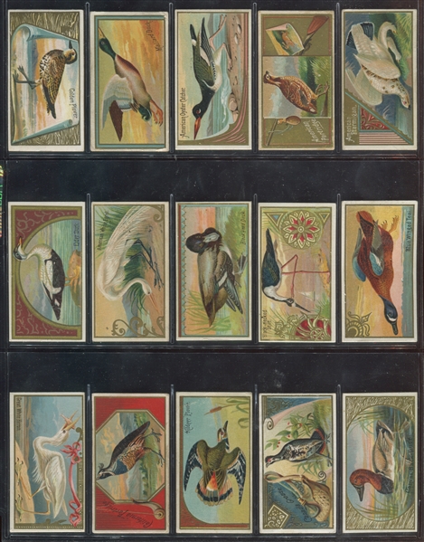 N13 Allen & Ginter Game Birds Lot of (26) Cards