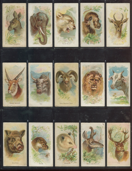 N25 Allen & Ginter Wild Animals Lot of (21) Cards