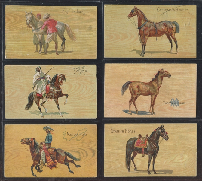 N101 Duke Honest Long Cut Breeds of Horses Lot of (8) Cards